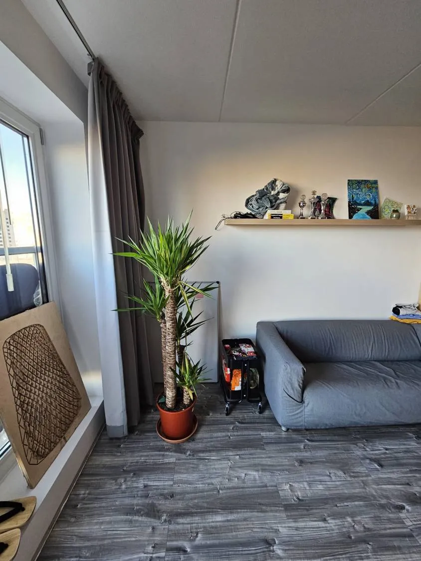 Photo: studio in Amsterdam (3)