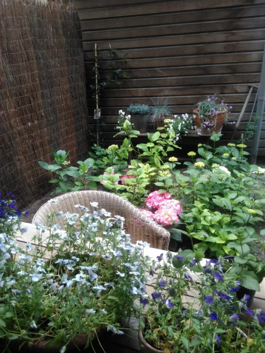 Photo: apartment in Amsterdam (9)