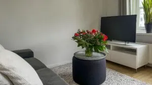 Foto van een appartement in Haarlem (4)