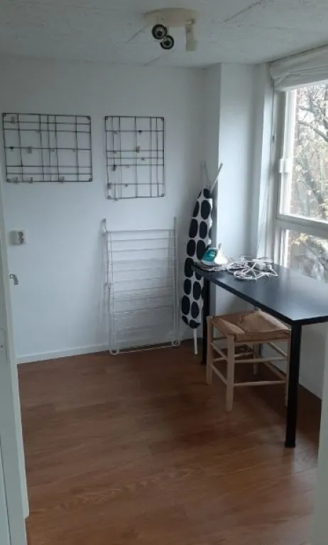 Photo: family home in Rotterdam (9)