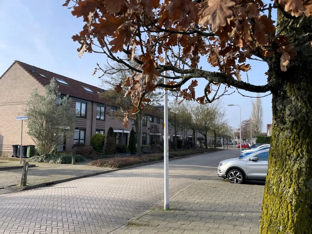 Photo: family home in Woerden (4)