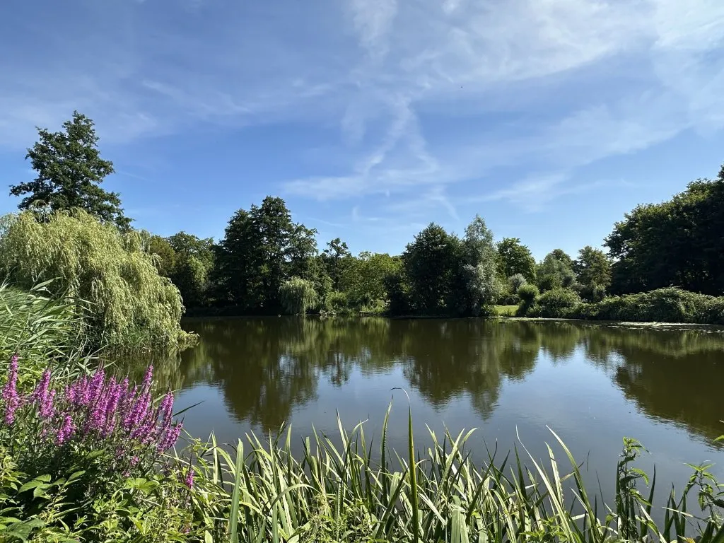 Foto van een eengezinswoning in Diepenveen (5)