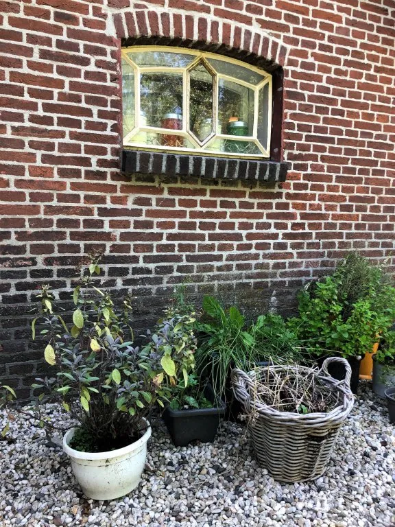 Photo: family home in Woerden (9)