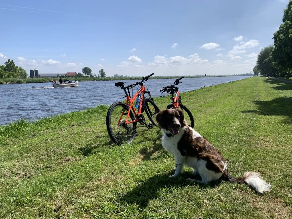 Foto van een eengezinswoning in Leeuwarden (3)