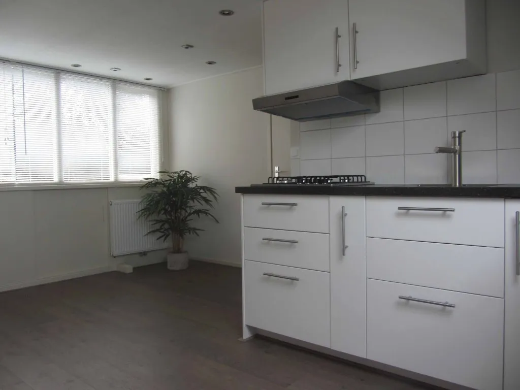 Photo: family home in Apeldoorn (5)