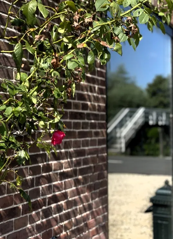 Foto van een eengezinswoning in Woerden (6)