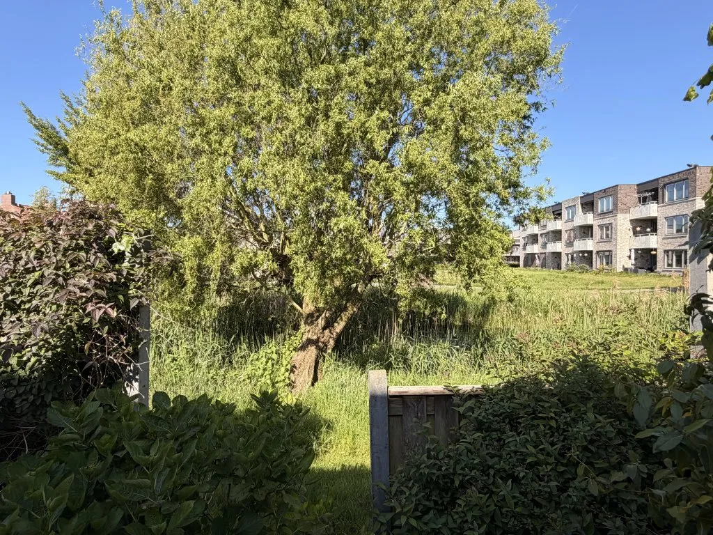 Foto van een eengezinswoning in Zwolle (8)