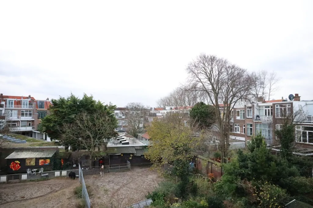 Foto van een eengezinswoning in Den Haag (10)