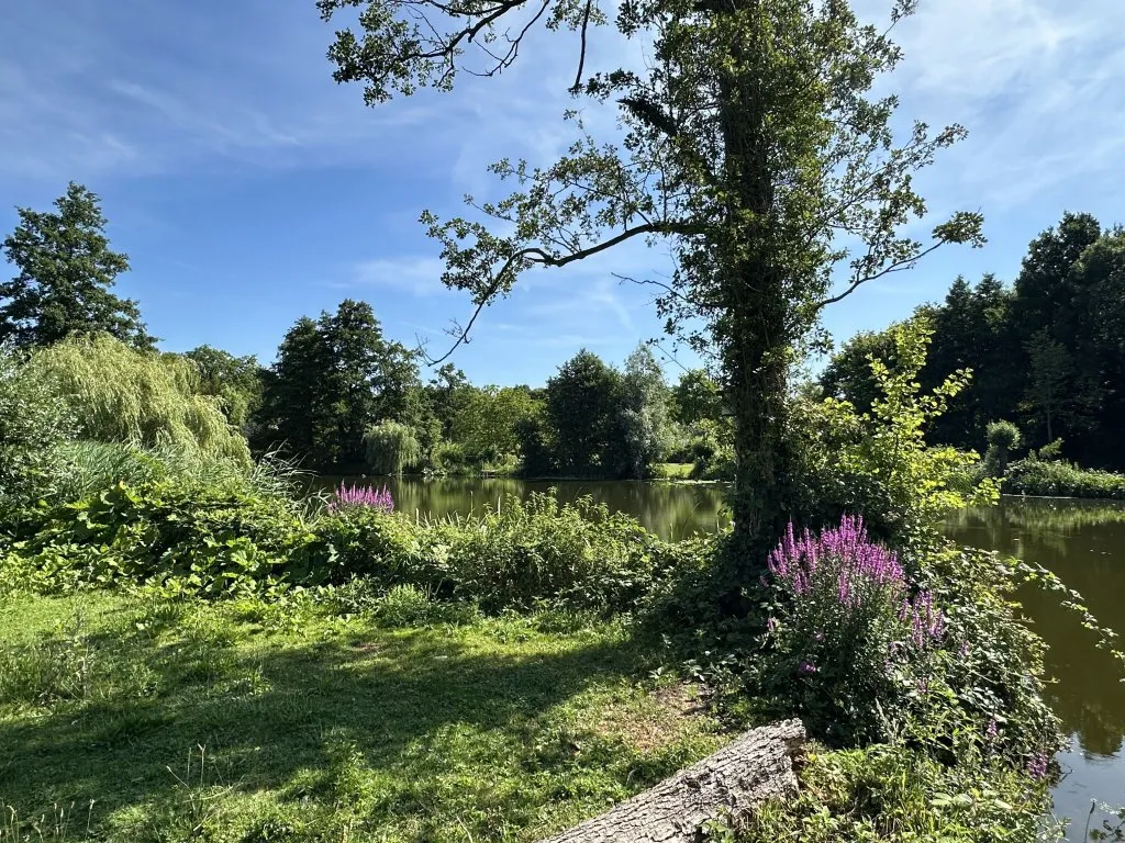 Foto van een eengezinswoning in Diepenveen (4)