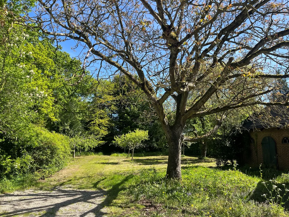 Foto van een eengezinswoning in Driebergen-Rijsenburg (4)