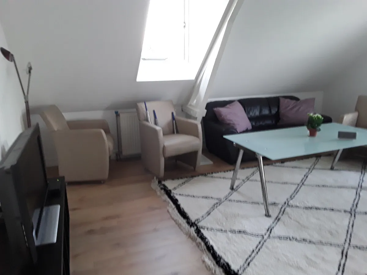 Foto van een appartement in Delft (8)