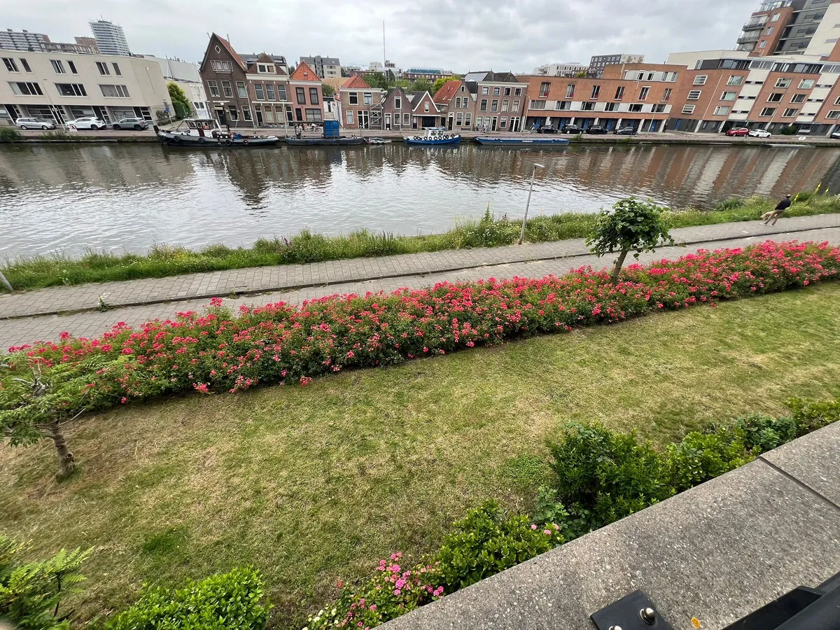 Photo: apartment in Delft (8)