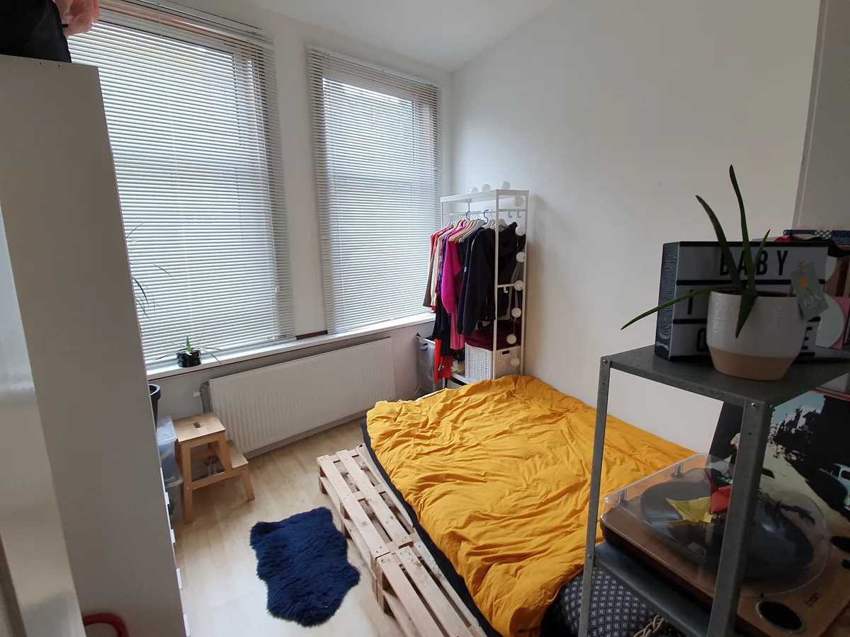 Photo: family home in Delft (5)