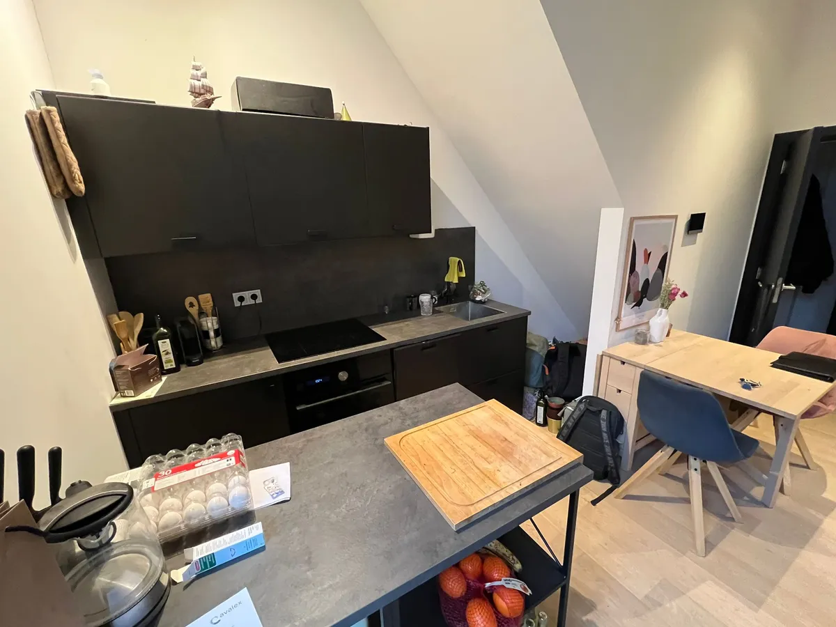 Photo: apartment in Delft (4)