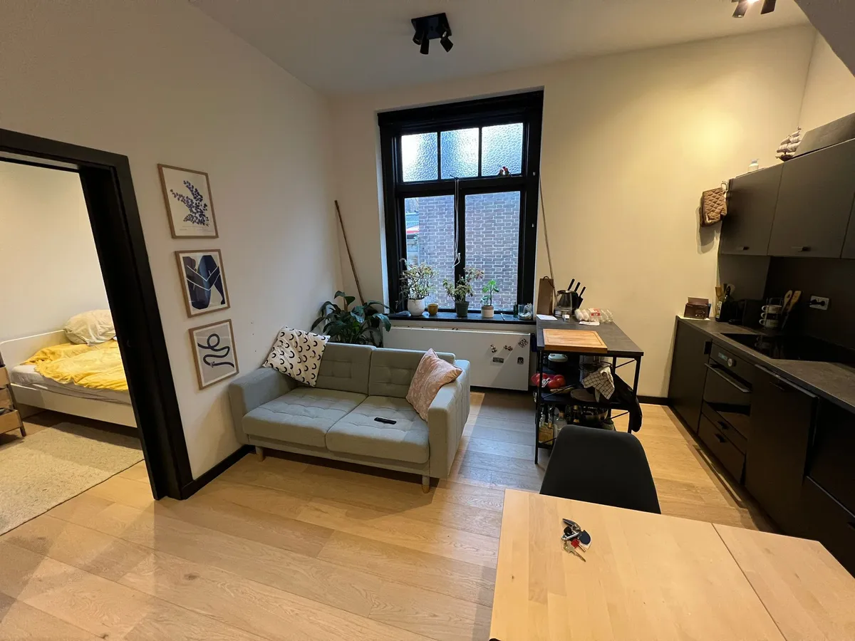 Photo: apartment in Delft (5)