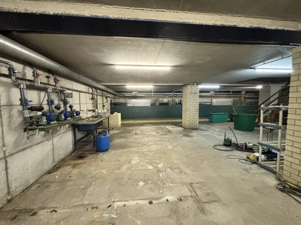 Photo: apartment in Beek En Donk (11)