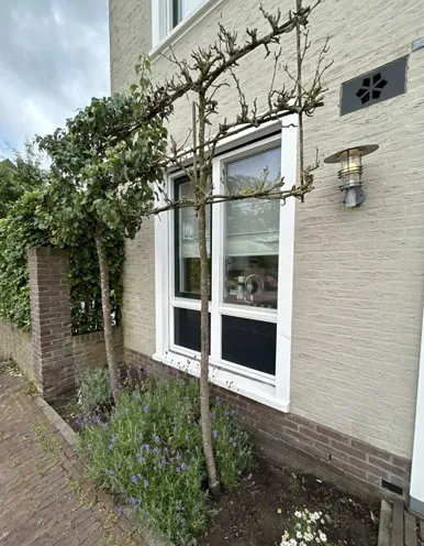 Foto van een eengezinswoning in De Meern (3)