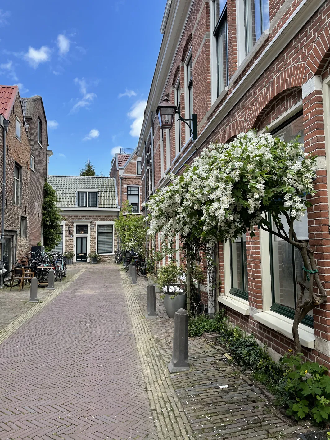 Photo: apartment in Haarlem (2)