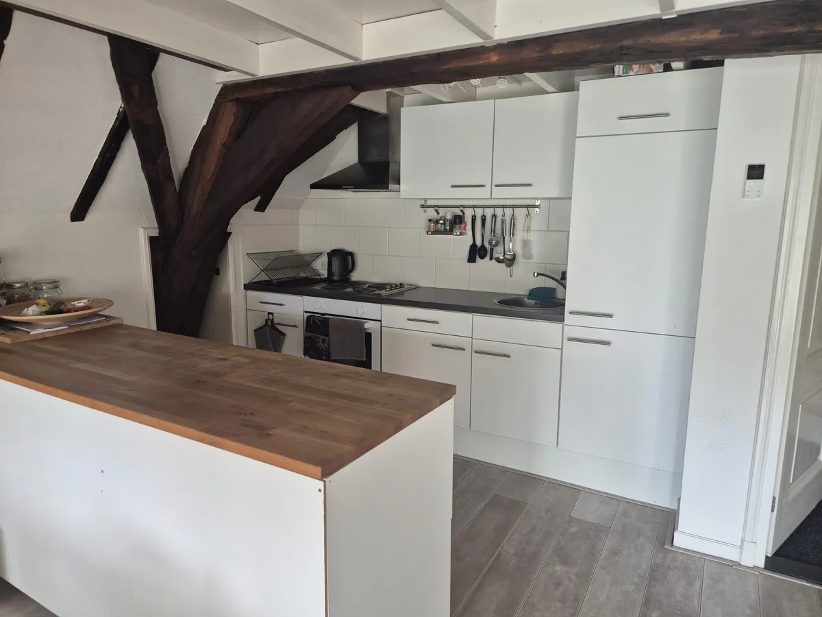 Photo: apartment in Zwolle (8)
