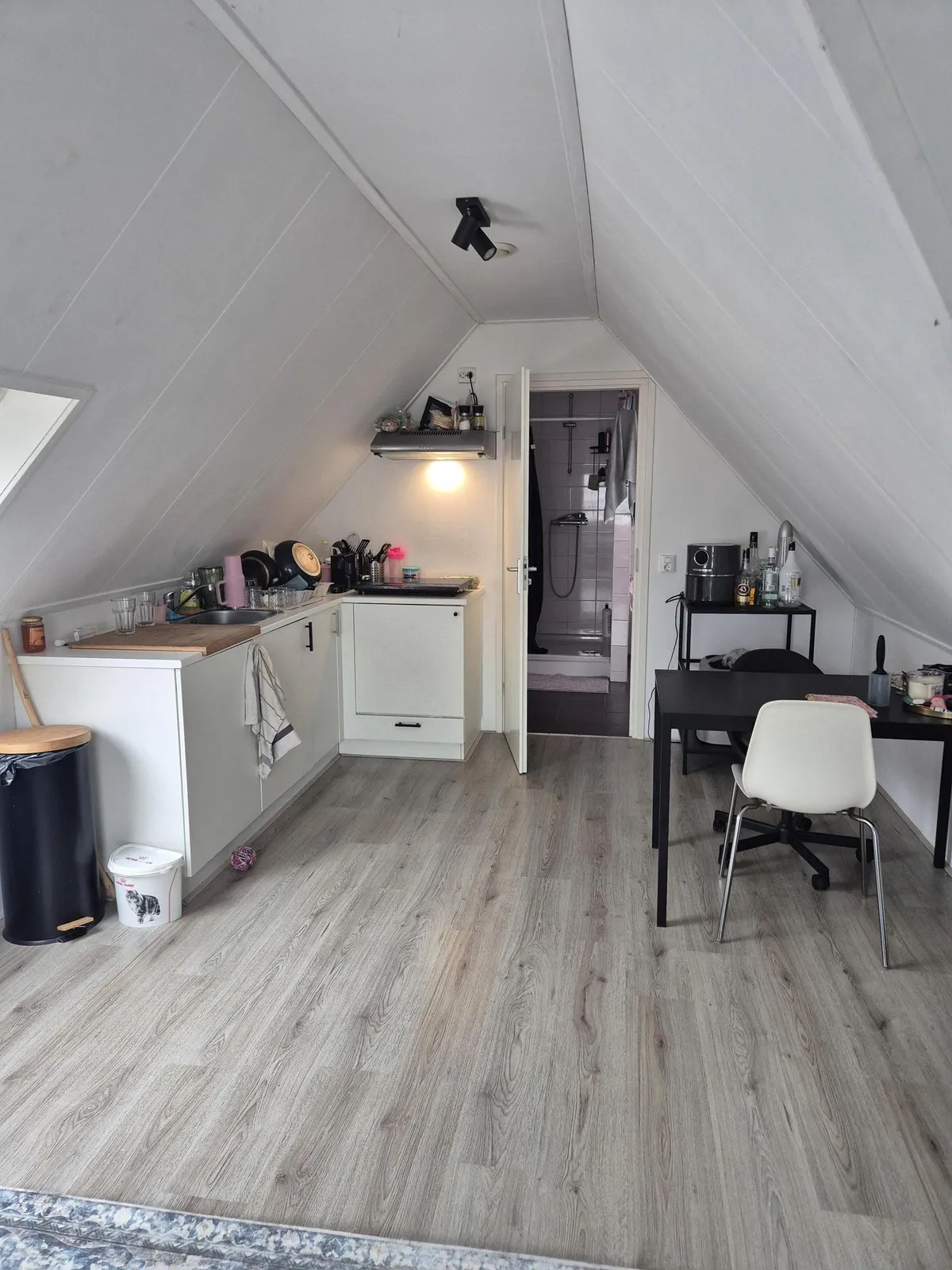 Photo: apartment in Raalte (3)