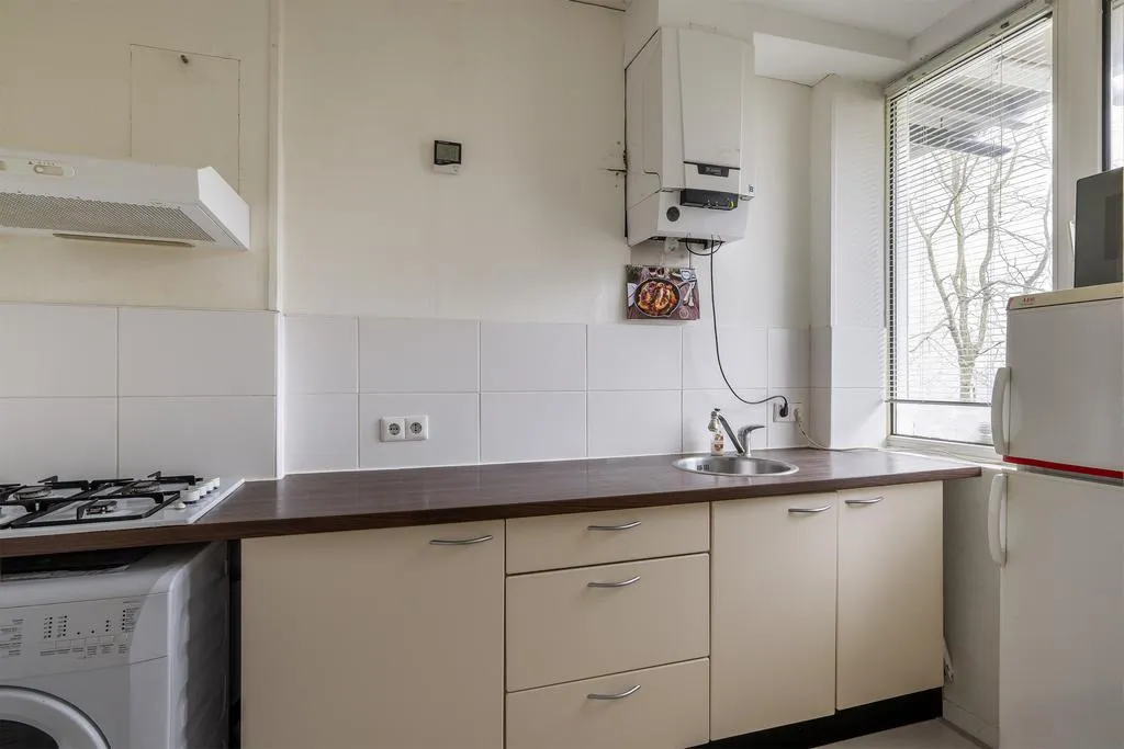 Photo: family home in Rotterdam (5)