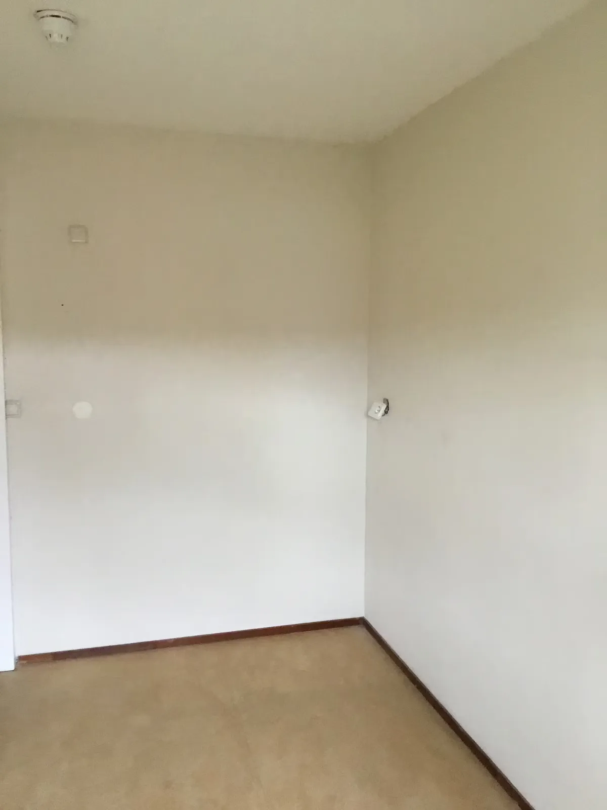 Photo: room in Bodegraven (11)