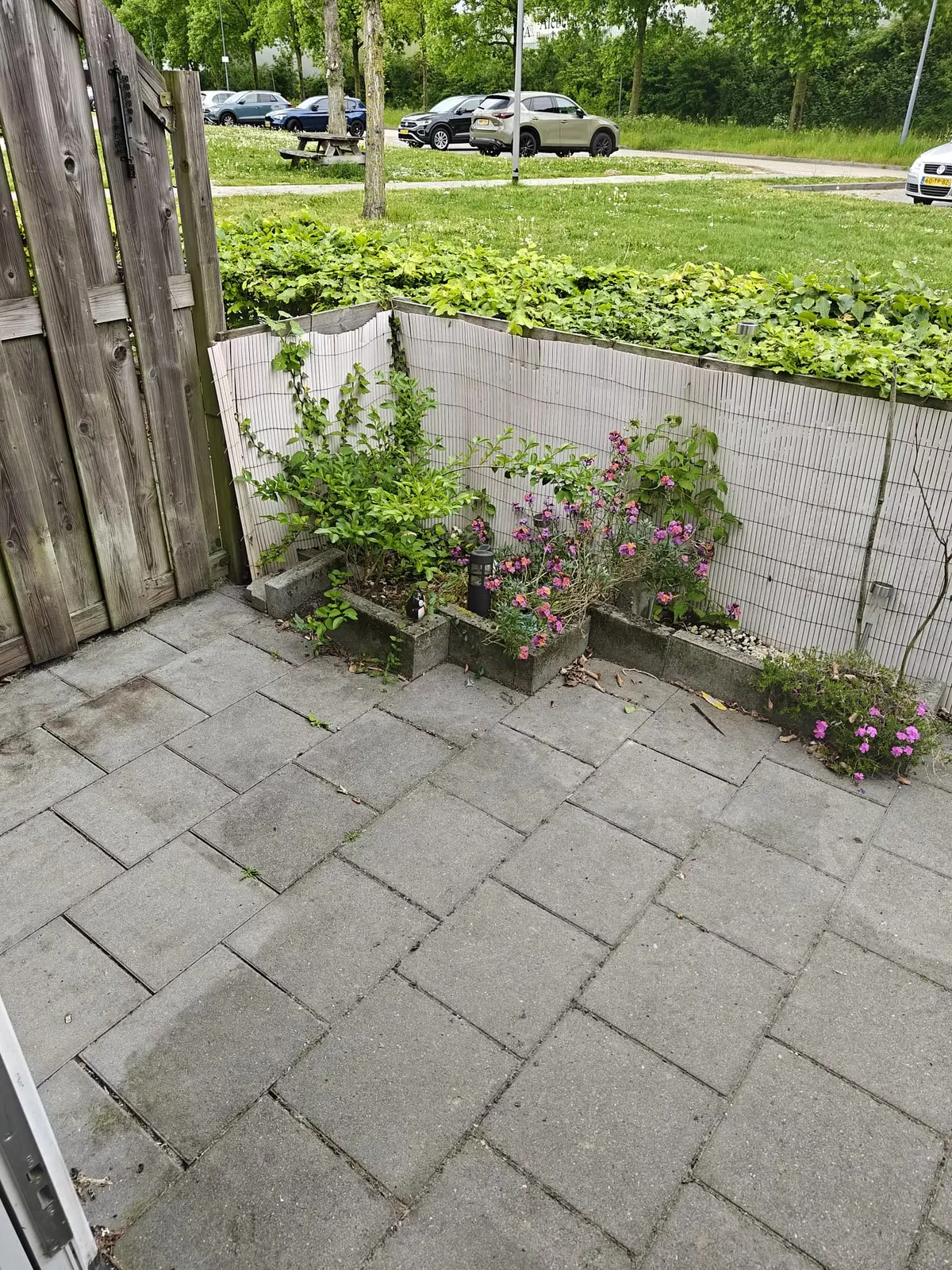 Photo: studio in Rosmalen (3)