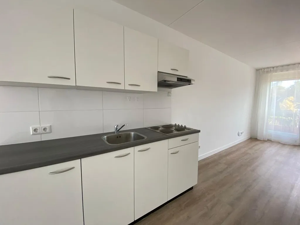 Photo: family home in Eindhoven (12)