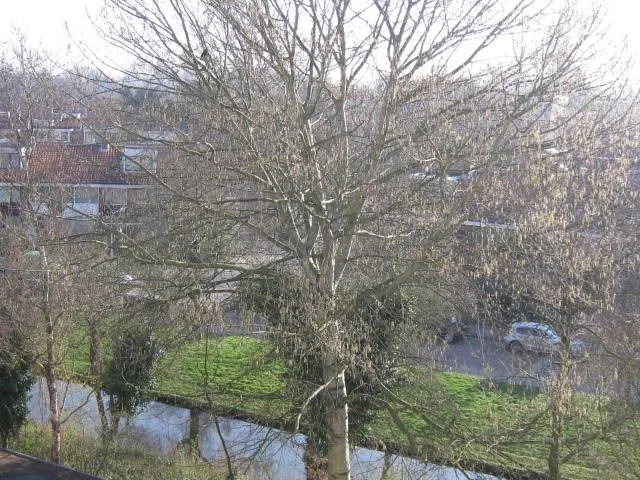 Foto van een appartement in Amstelveen (10)