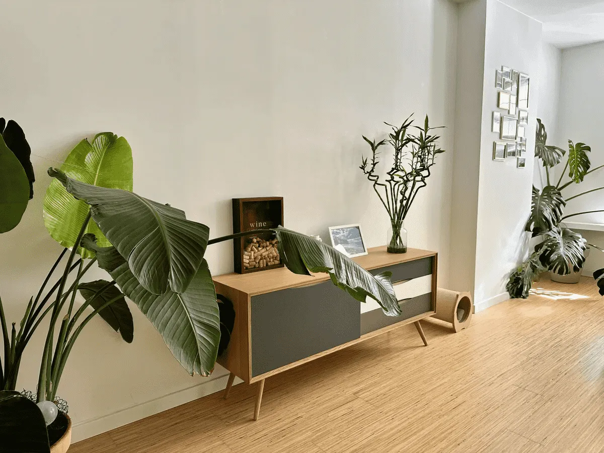 Photo: apartment in Nederland (7)