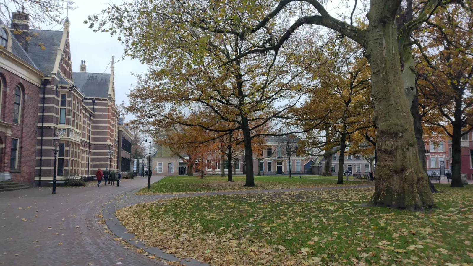 Rental homes in Assen: a view of Assen