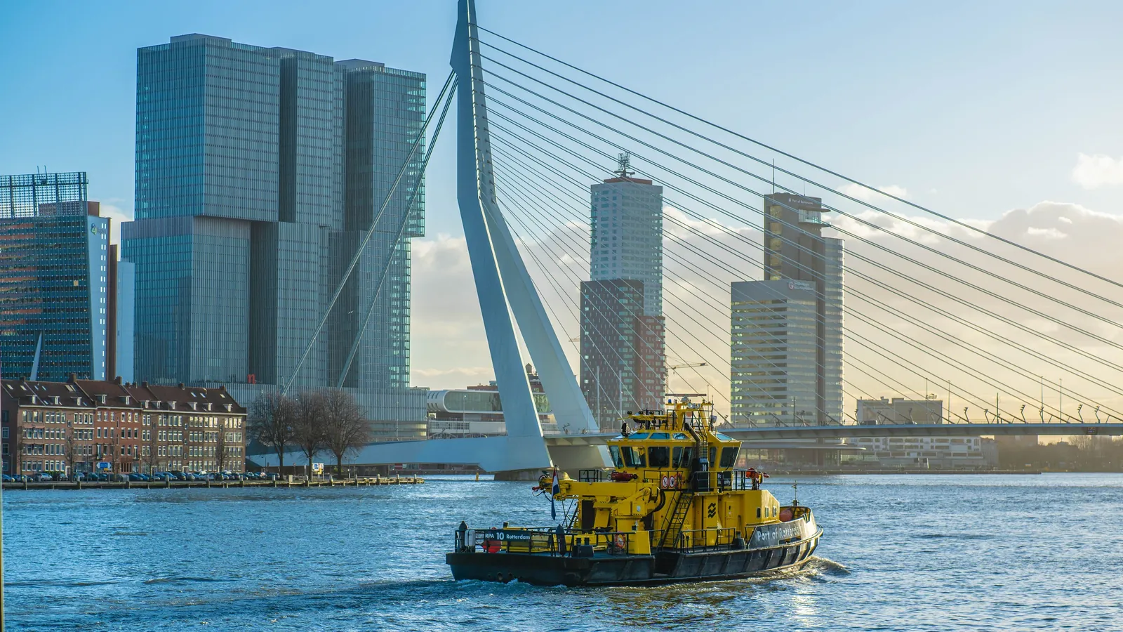 Rental homes in Rotterdam: a view of Rotterdam